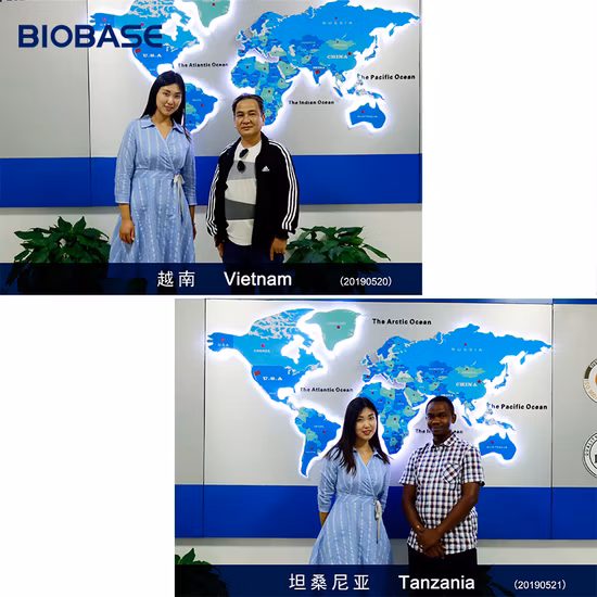 Biobase Tisch-Inkubator mit konstanter Temperatur und programmierbarer Tischplatte für das Labor