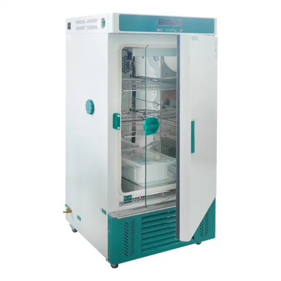 Feuchtigkeitsinkubator, Inkubator mit konstanter Temperatur, Laborinkubator, Feuchtigkeitsbiochemiekammer, BSB-Inkubator